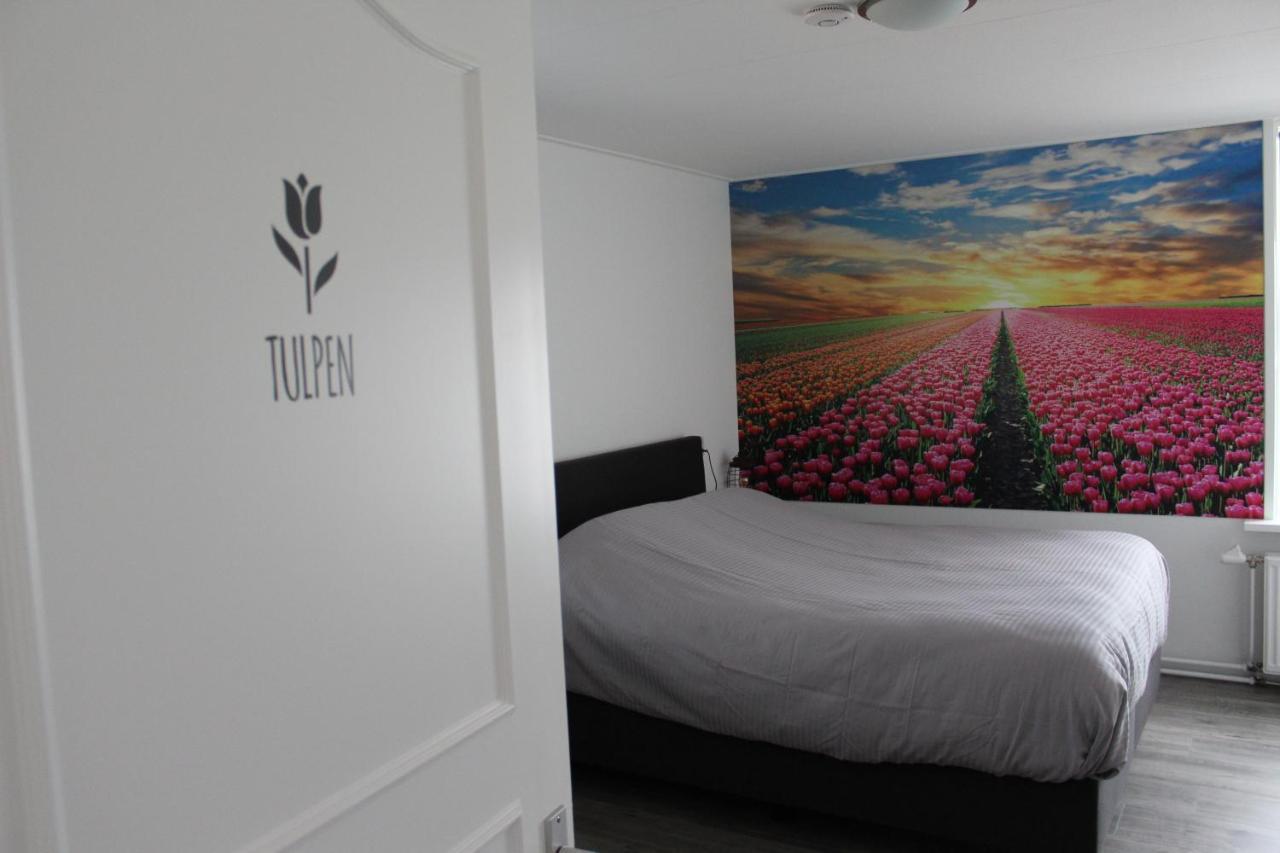 Slapen Bij De Buurvrouw Bed & Breakfast Castricum Eksteriør bilde
