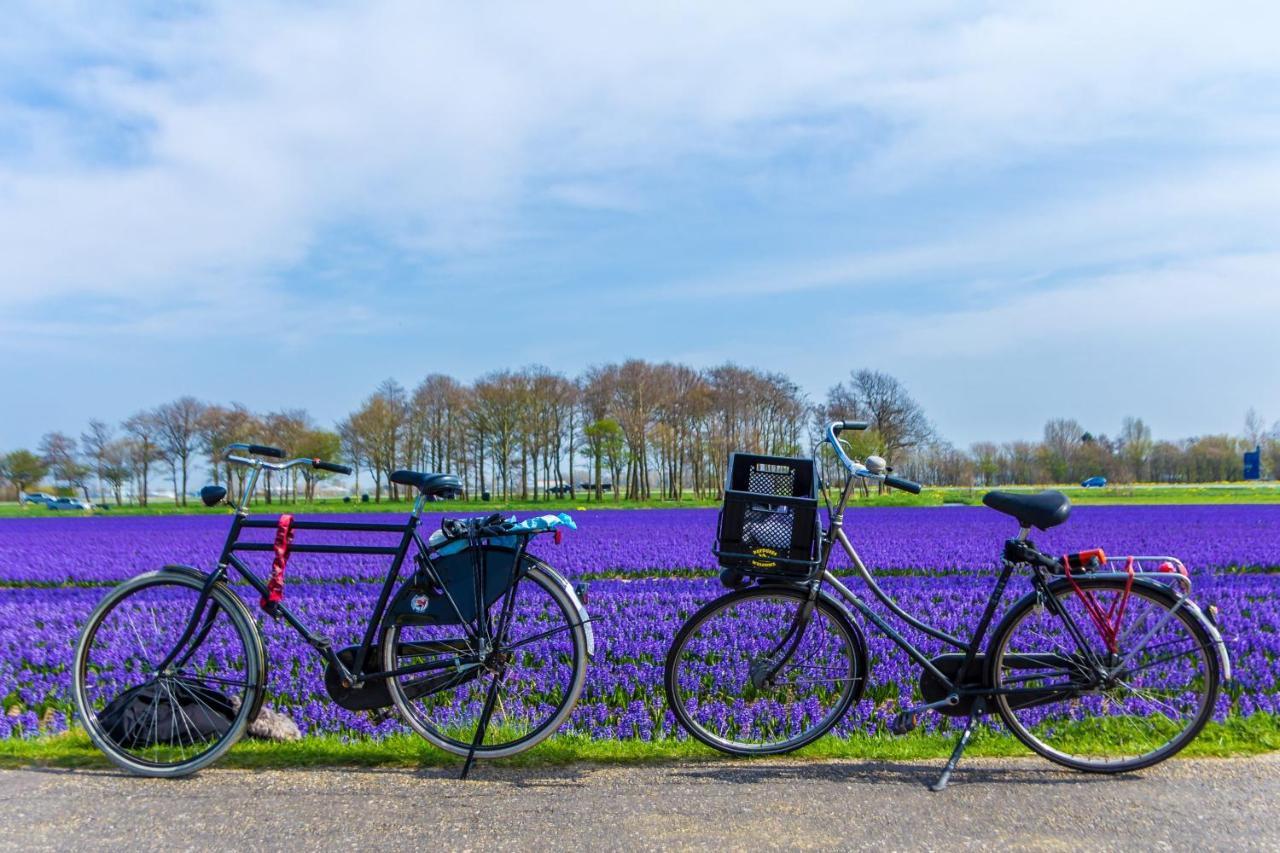 Slapen Bij De Buurvrouw Bed & Breakfast Castricum Eksteriør bilde